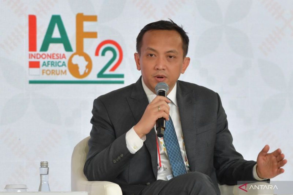 Indonesia shares good practices in mineral industry development at IAF