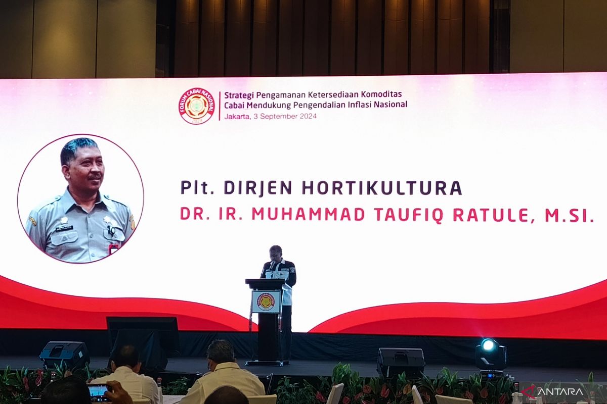 Kementan pastikan cabai secara nasional tersedia hingga akhir tahun