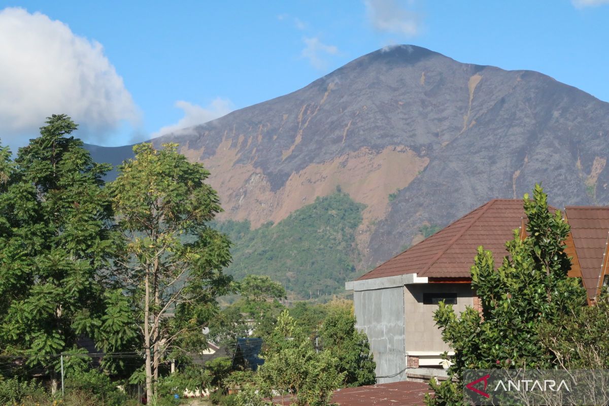 Luas lahan terbakar di Bukit Anak Dara Rinjani Lombok capai 286 hektare