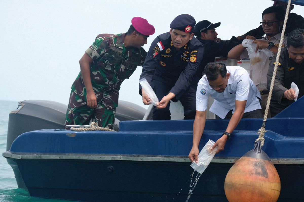 Bea Cukai lepasliarkan 275 ribu benih lobster di Perairan Batam Kepri