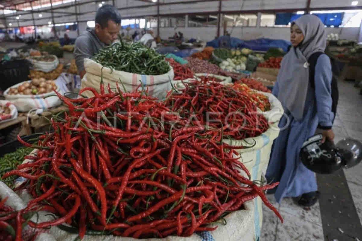 Harga pangan hari ini naik signifikan, cabai merah menjadi Rp41.000 per kg