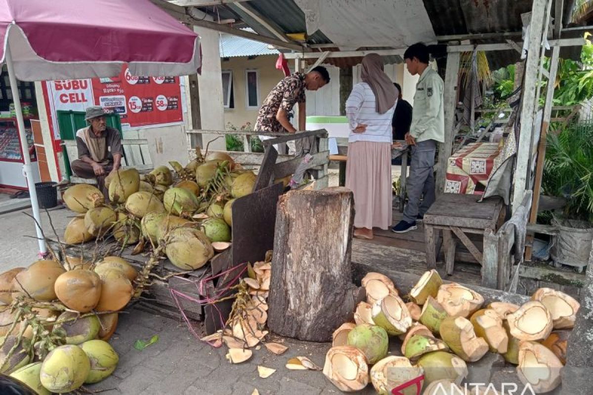 DLH Solok lakukan pembinaan ke pedagang kurangi limbah kelapa muda