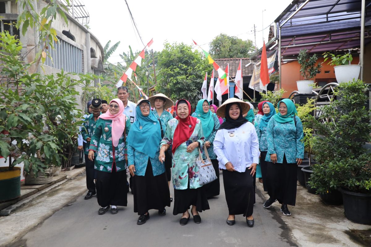 Pemkab Sleman dorong tiap keluarga manfaatkan halaman sebagai sumber pangan