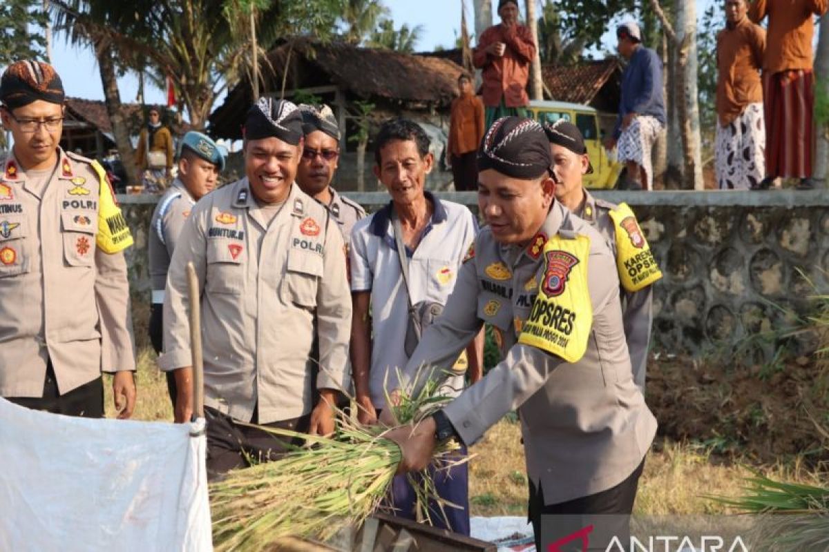 Kapolres Kulon Progo panen padi di lahan hasil cetak sawah baru 9,6 hektare