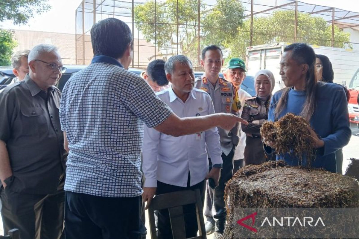 Pj Bupati Temanggung pantau pembelian tembakau  di gudang