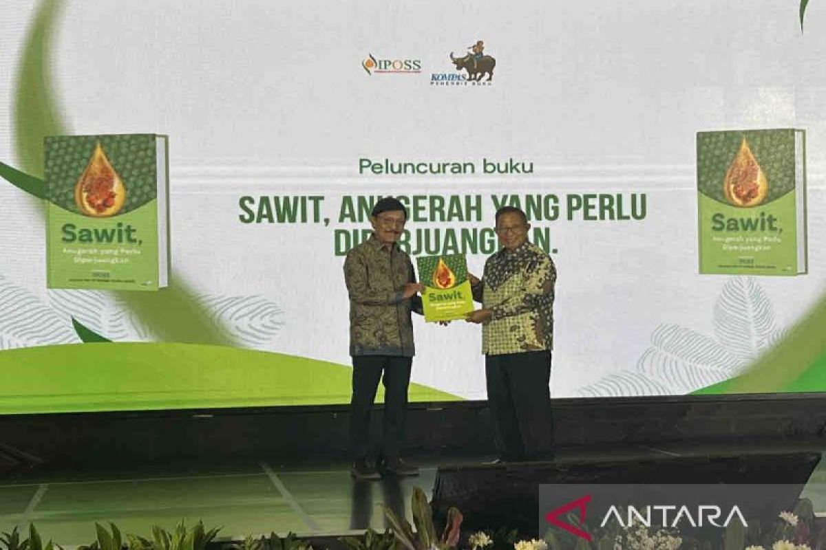 Palm oil sector value may touch Rp775 trillion: industry minister