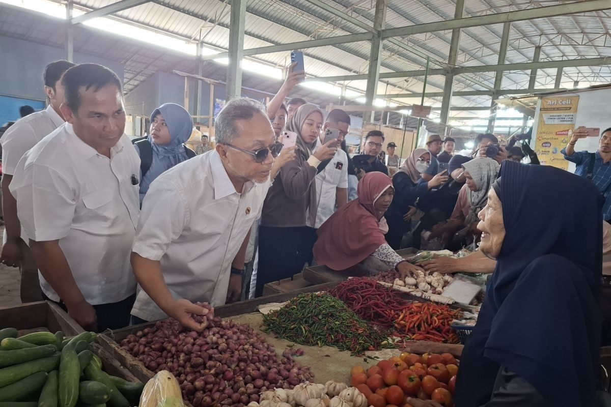 Mendag Zulkifli Hasan sebut pemerintah tetap jaga stabilitas harga pangan