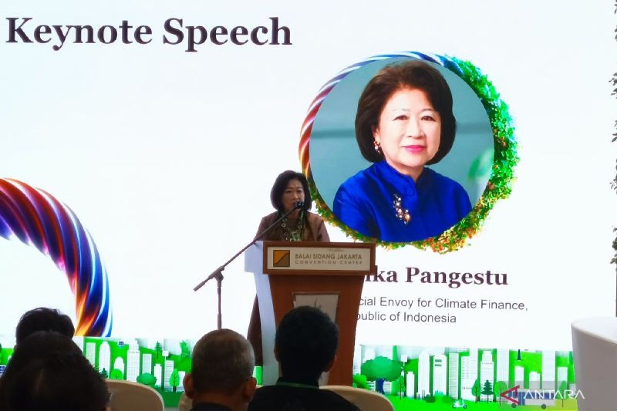 Carbon trading supports climate financing: Elka Pangestu