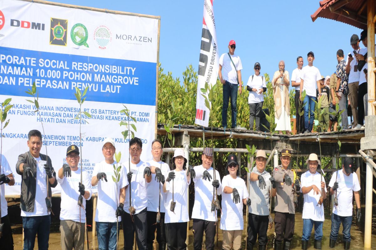 Pemkab Kulon Progo dan swasta tanam 10 ribu mangrove di Pantai Pasir Mendit