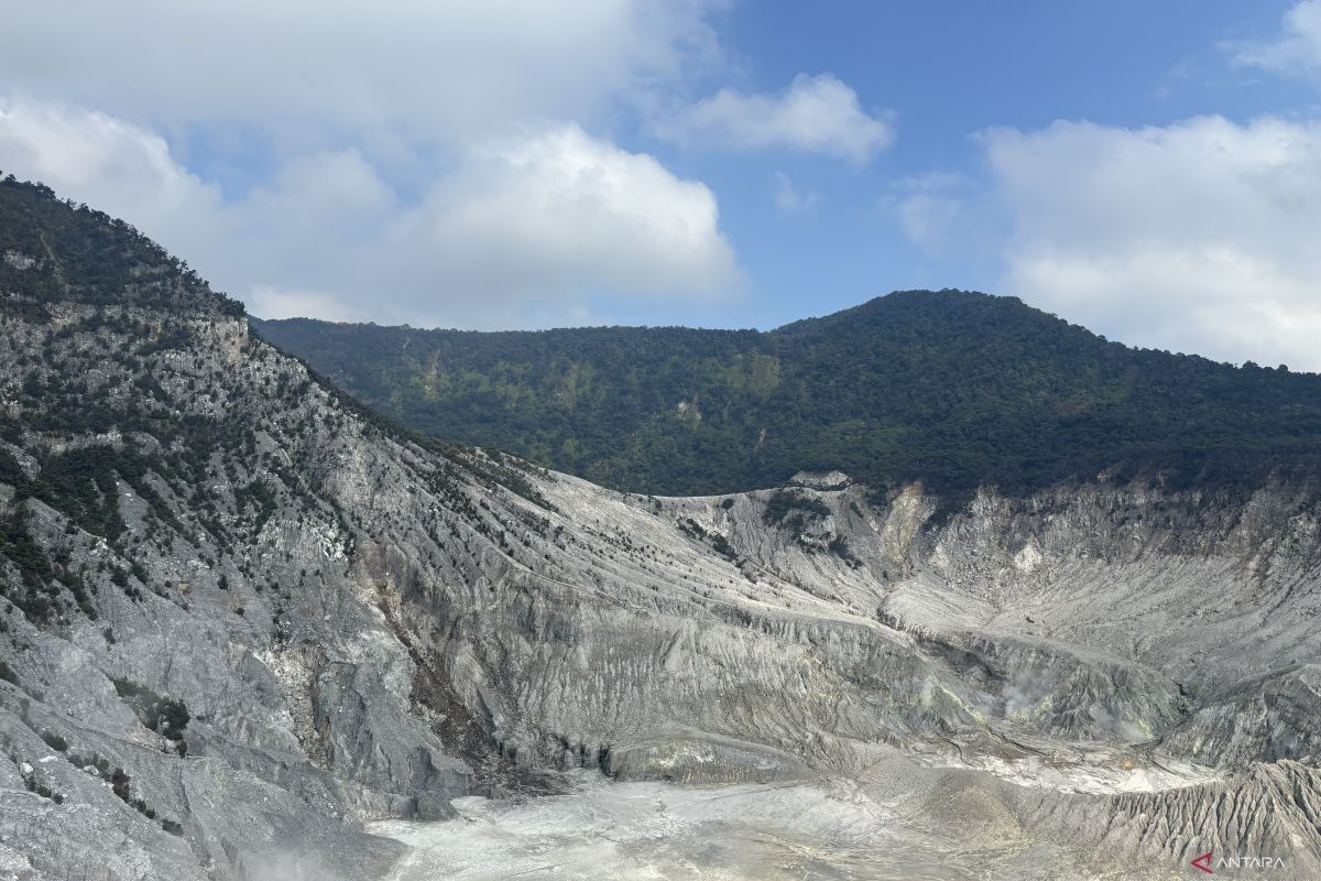 BPBD pastikan kebakaran hutan di Gunung Tangkuban Perahu sudah padam