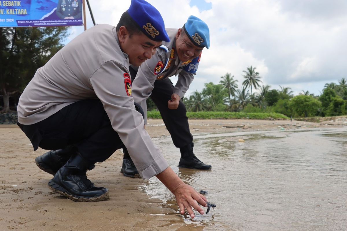 Polda Kaltara Dukung Pelestarian Lingkungan Lewat Pelepasan Tukik