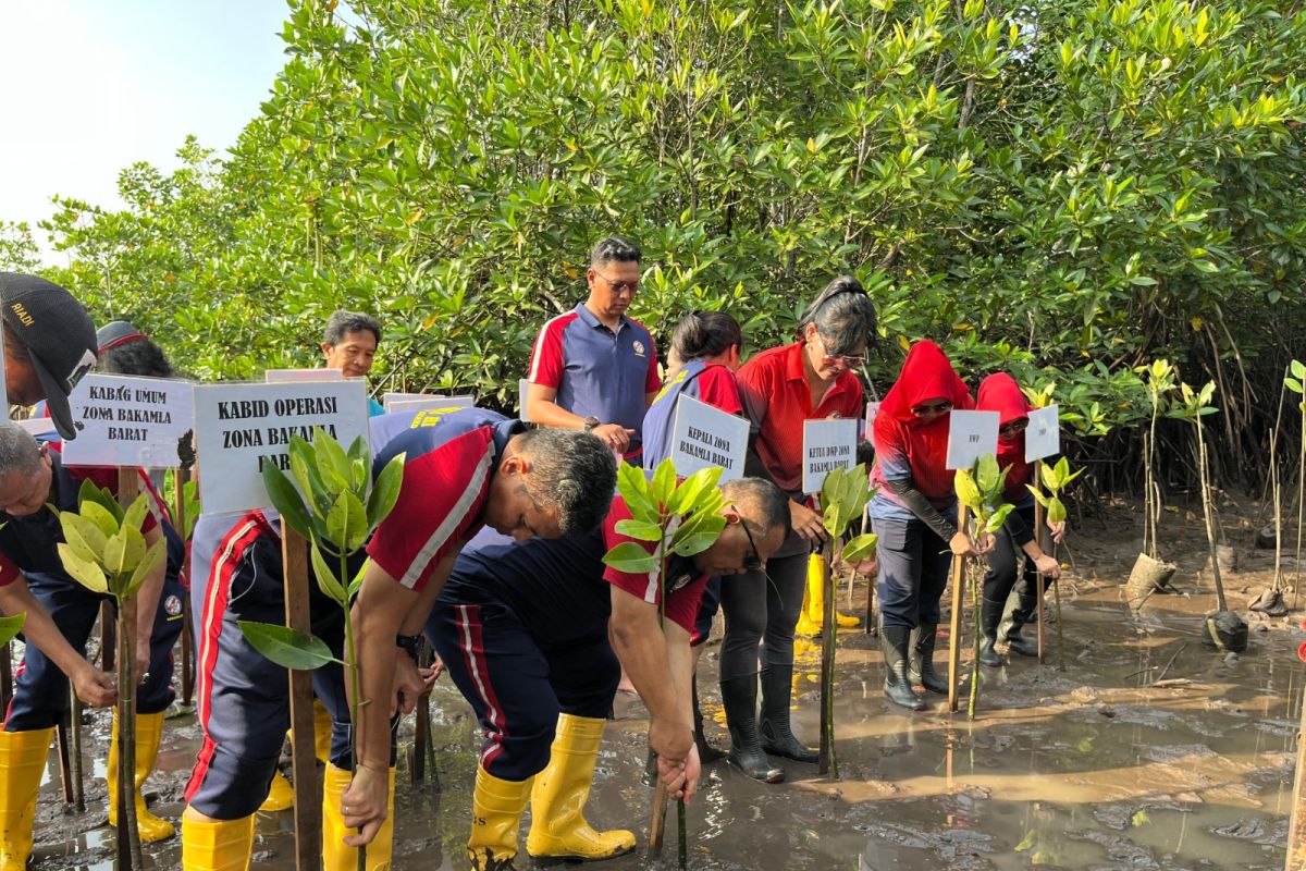 Bakamla tanam 39 ribu bibit mangrave cegah abrasi di Batam