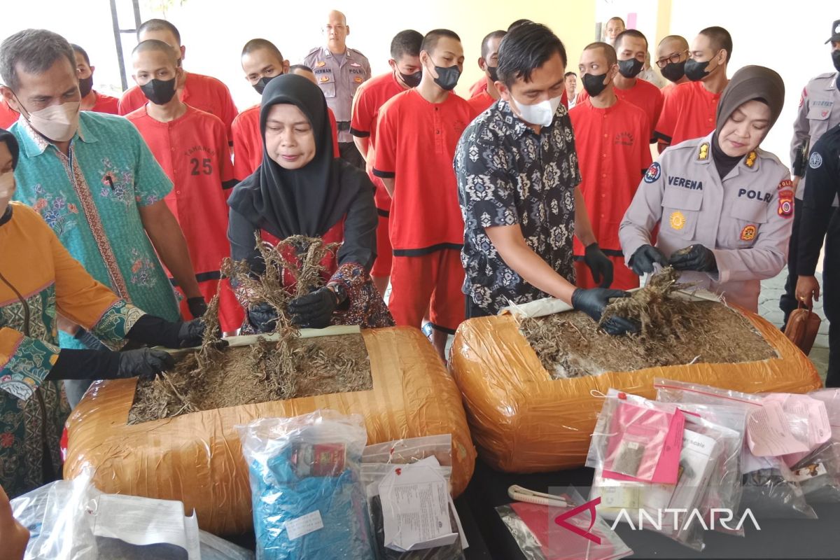 Polda DIY ungkap 3 hektare ladang ganja di Gayo Lues Aceh