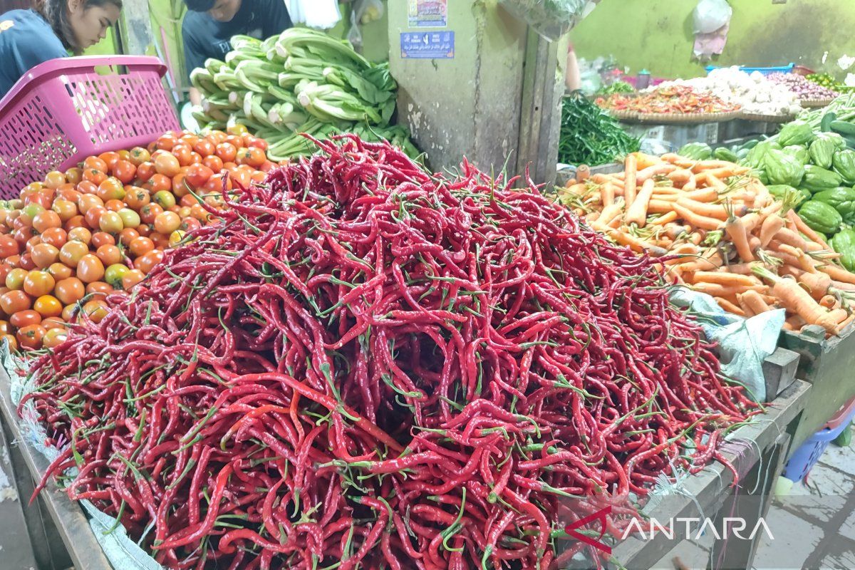 Info!! Harga cabai merah keriting turun jadi Rp31.880 per kg