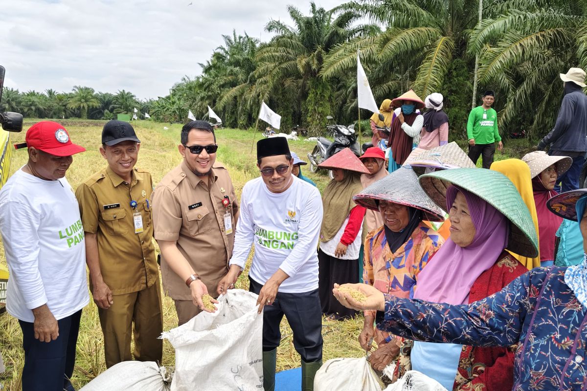 Baznas Riau dan Siak panen raya lumbung pangan padi