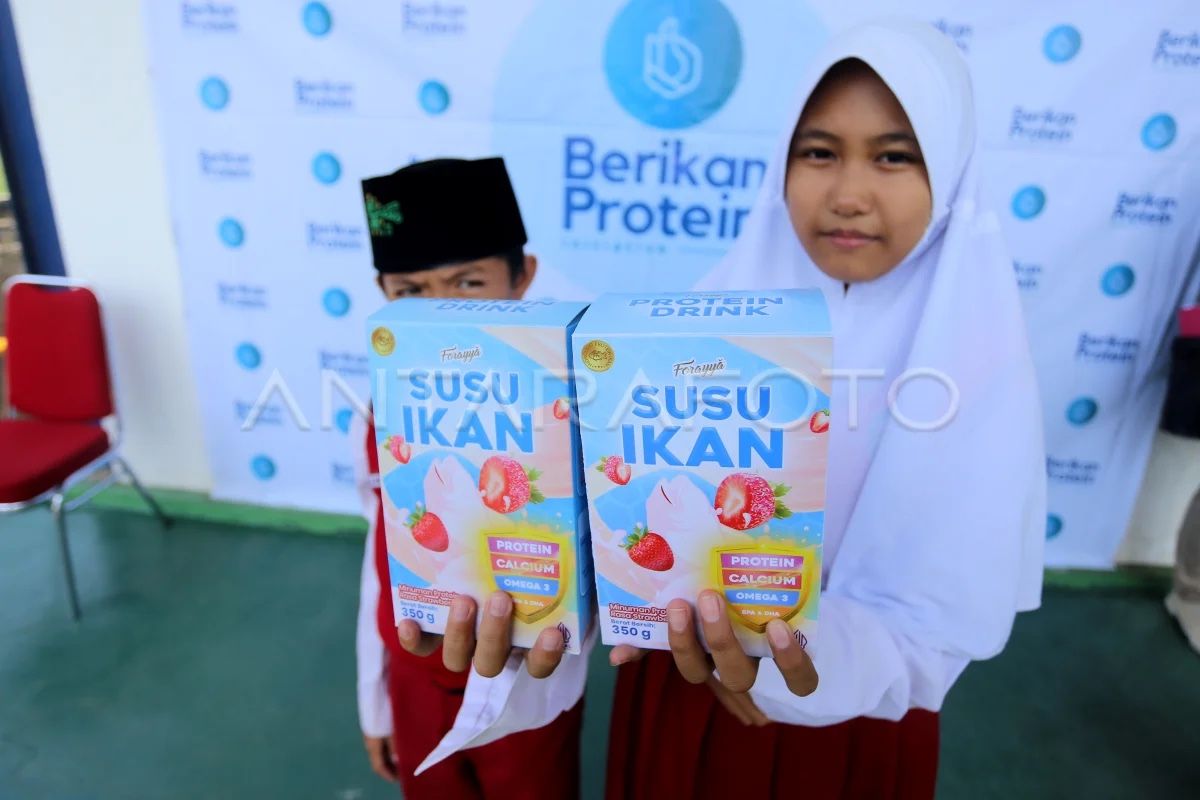 Susu ikan bisa jadi alternatif bagi anak yang tidak suka daging ikan