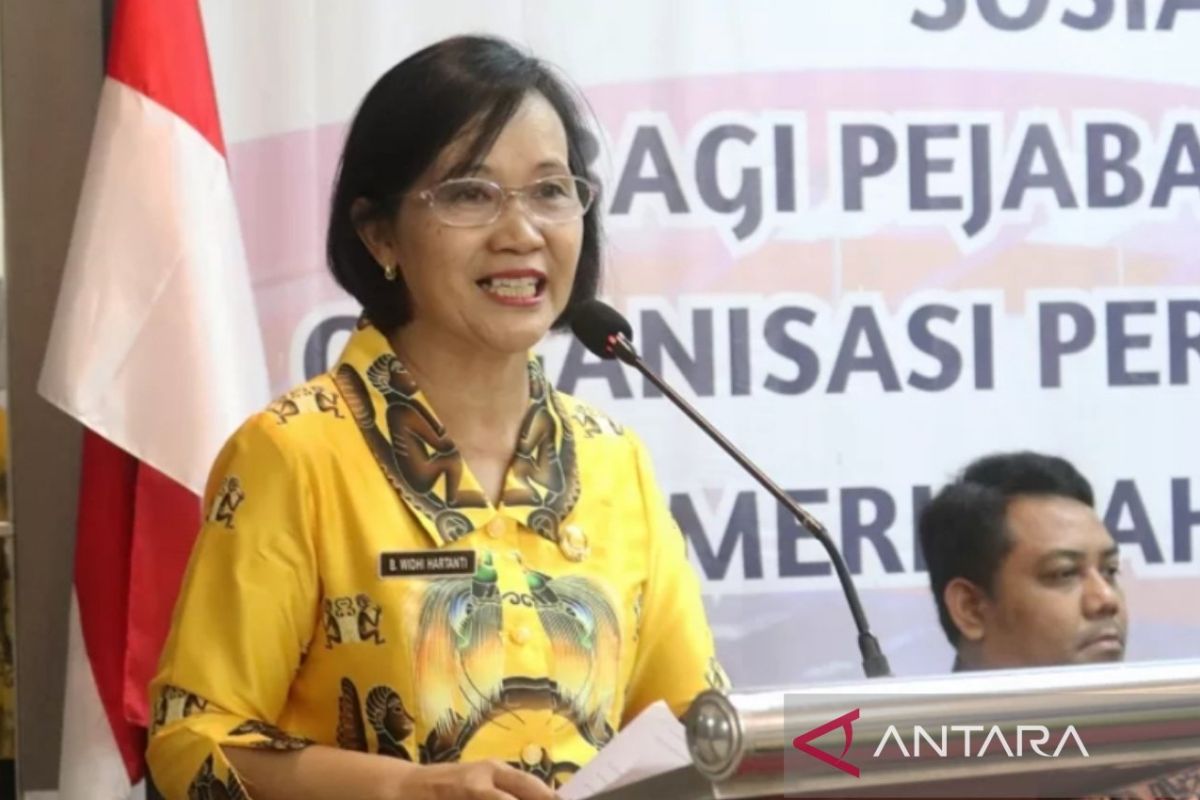 Pemkot Jayapura perlu Rancangan Induk Pembangunan Industri terencana