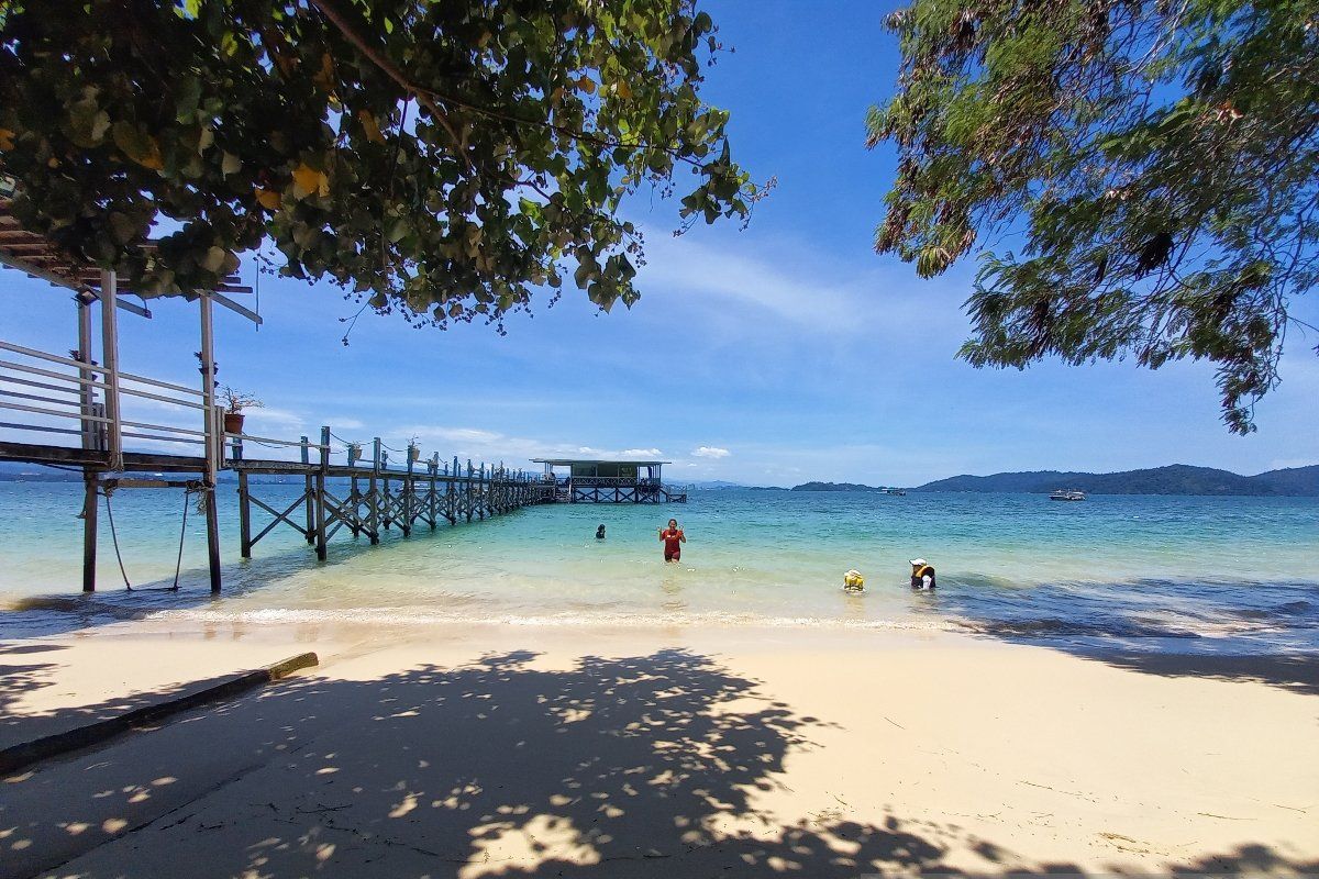 Petualangan Eksotis di Borneo: Menikmati keindahan bawah laut hingga buah tangan Kinabalu