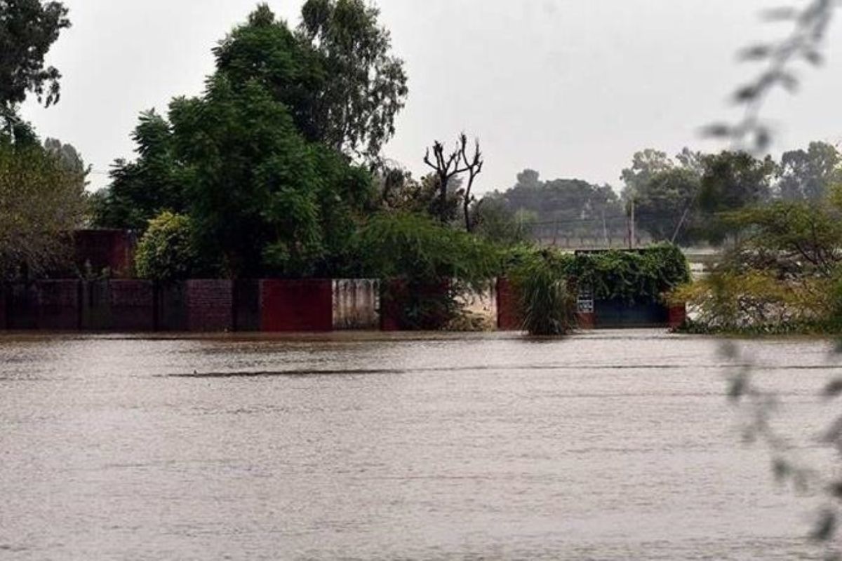 Sekitar satu juta warga kota di Nigeria terdampak banjir parah