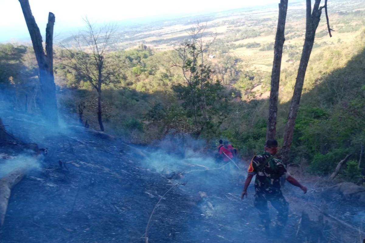 Kawasan hutan lindung di Serage Lombok Tengah terbakar