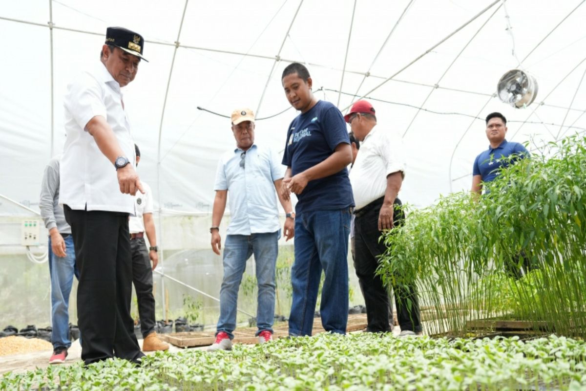 Pj Gubernur Sulbar dorong produk perkebunan miliki merek sendiri