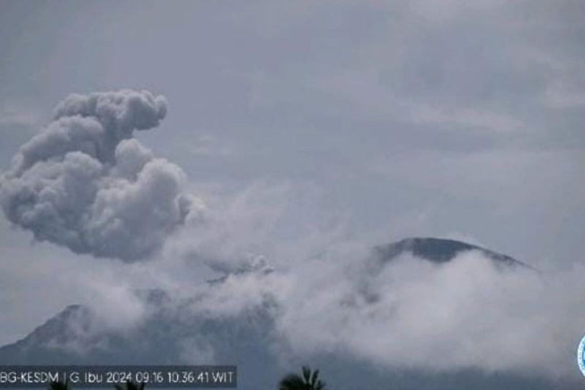 Gunung Ibu di Halmahera keluarkan abu 700 meter