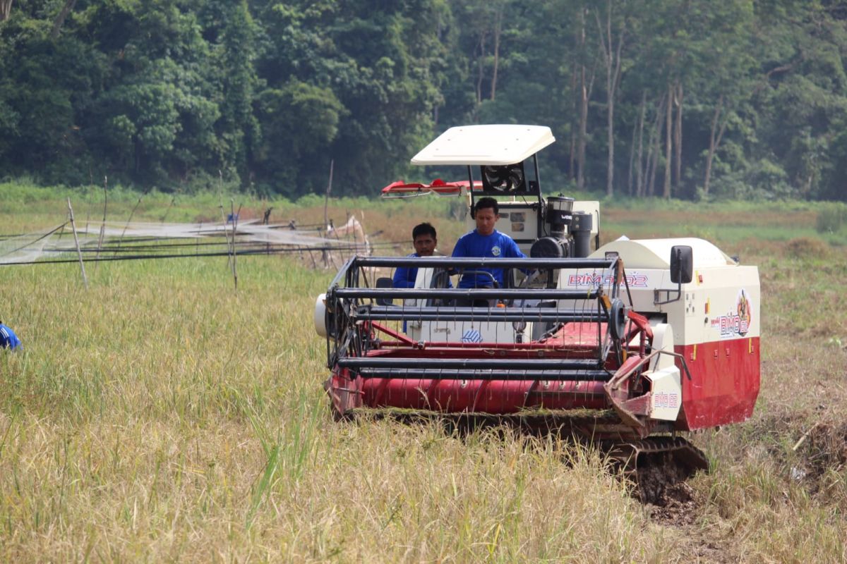 Legislator Seruyan nilai peningkatan alsintanmasih diperlukan