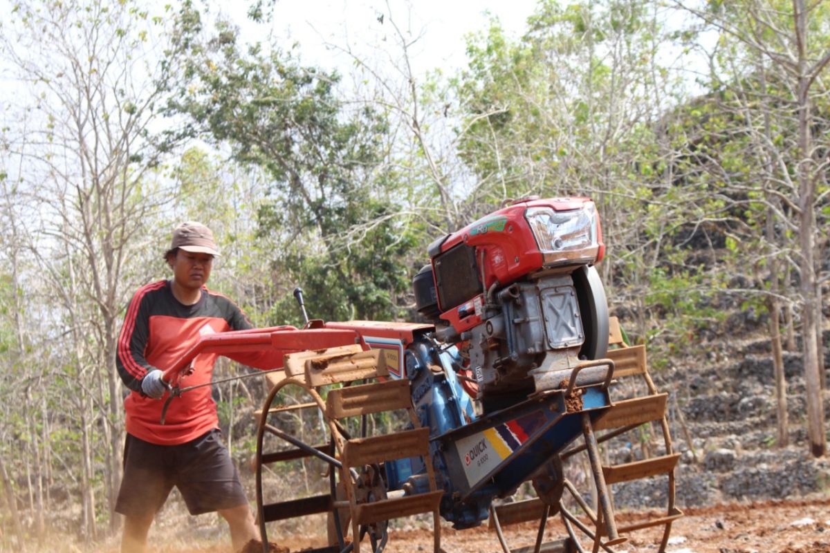 DPP Gunungkidul imbau petani segera olah lahan pertanian