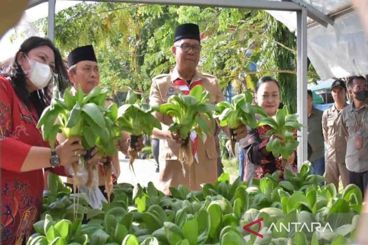 Keberhasilan Disarpustaka menanam sayur pakcoy patut dicontoh, kata Pj Kapuas