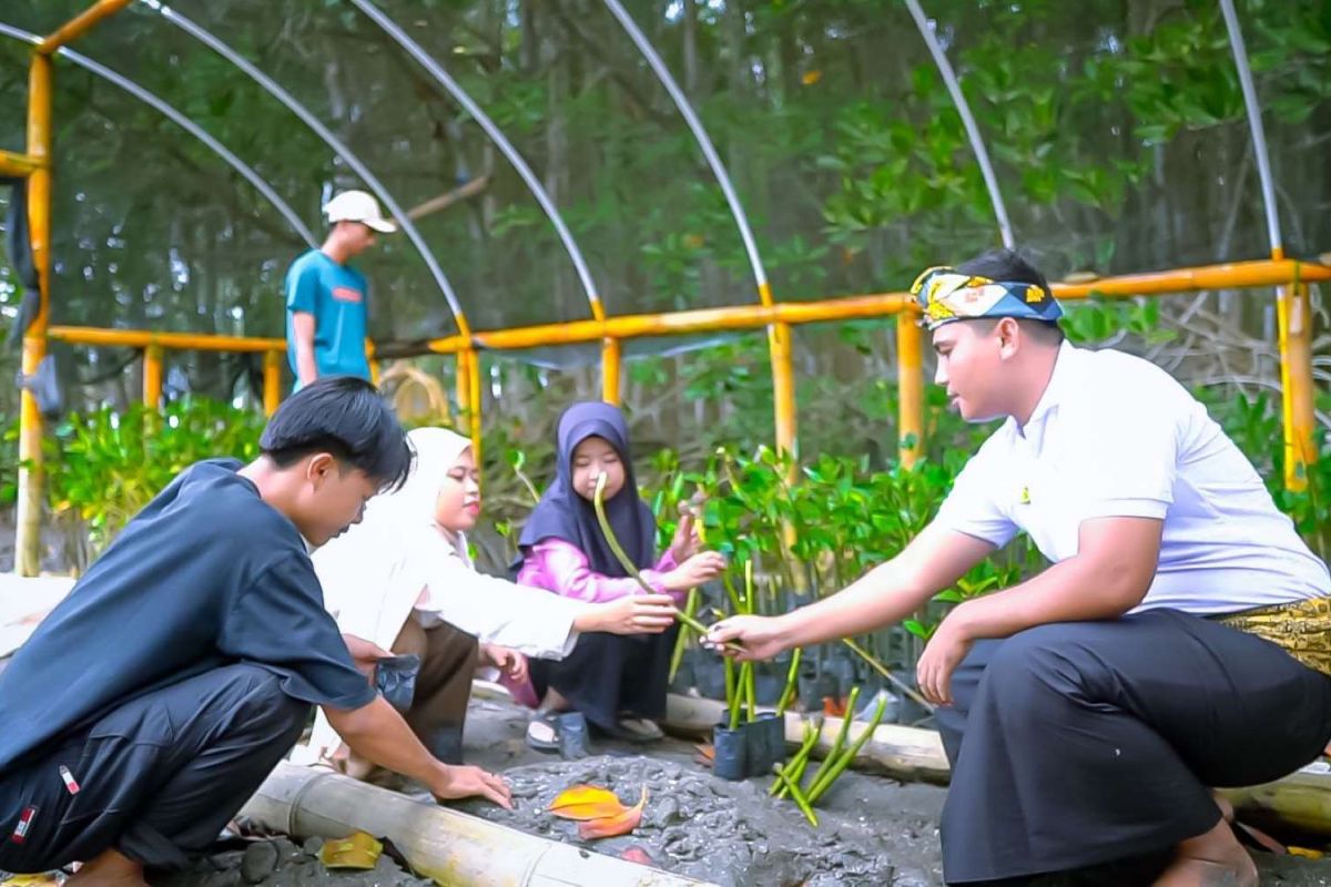 Ekowisata hutan mangrove purba Jerowaru Lombok kerek ekonomi masyarakat