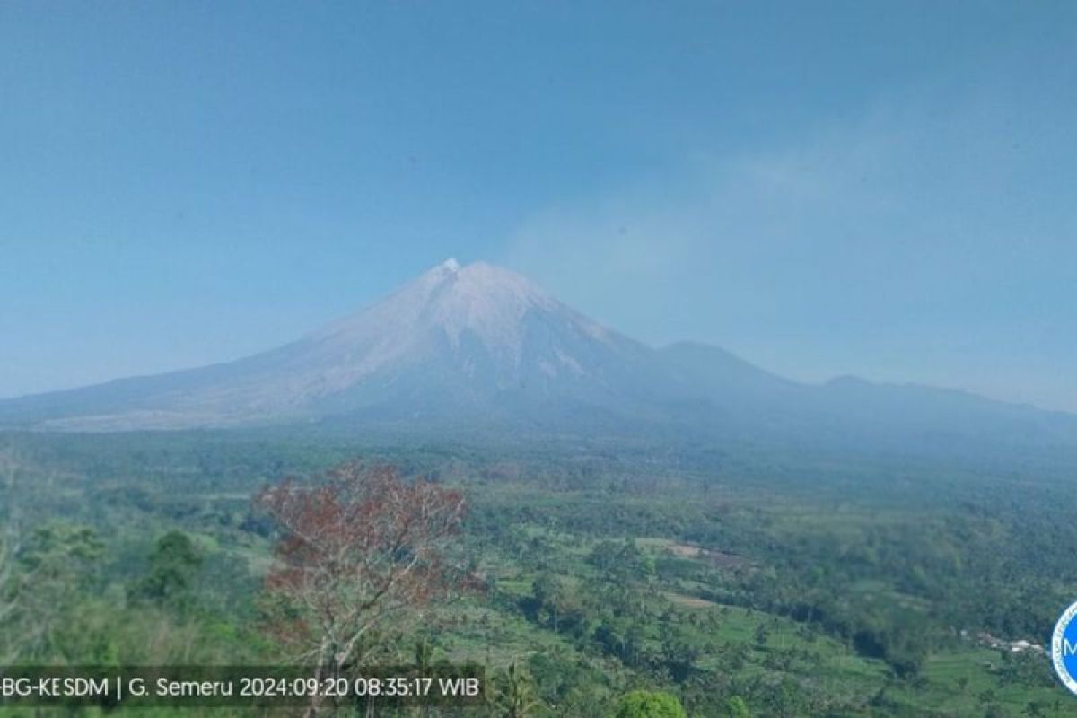 Gunung Semeru alami erupsi hingga sembilan kali pada Jumat pagi