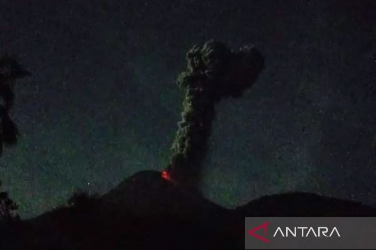 Delapan orang tewas akibat erupsi gunung Lewotobi di Flores