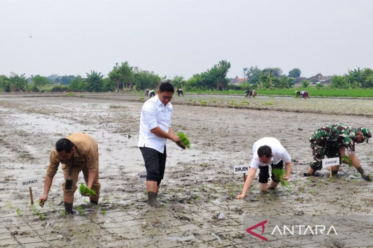 Wamen Pertanian  serap aspirasi petani di Klaten