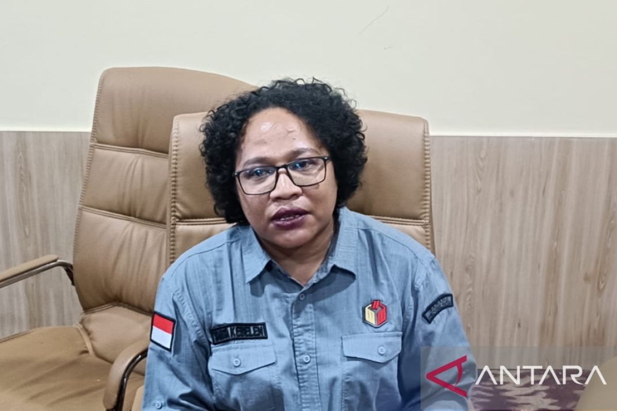 Bawaslu deklarasi pengawasan pilkada damai Papua