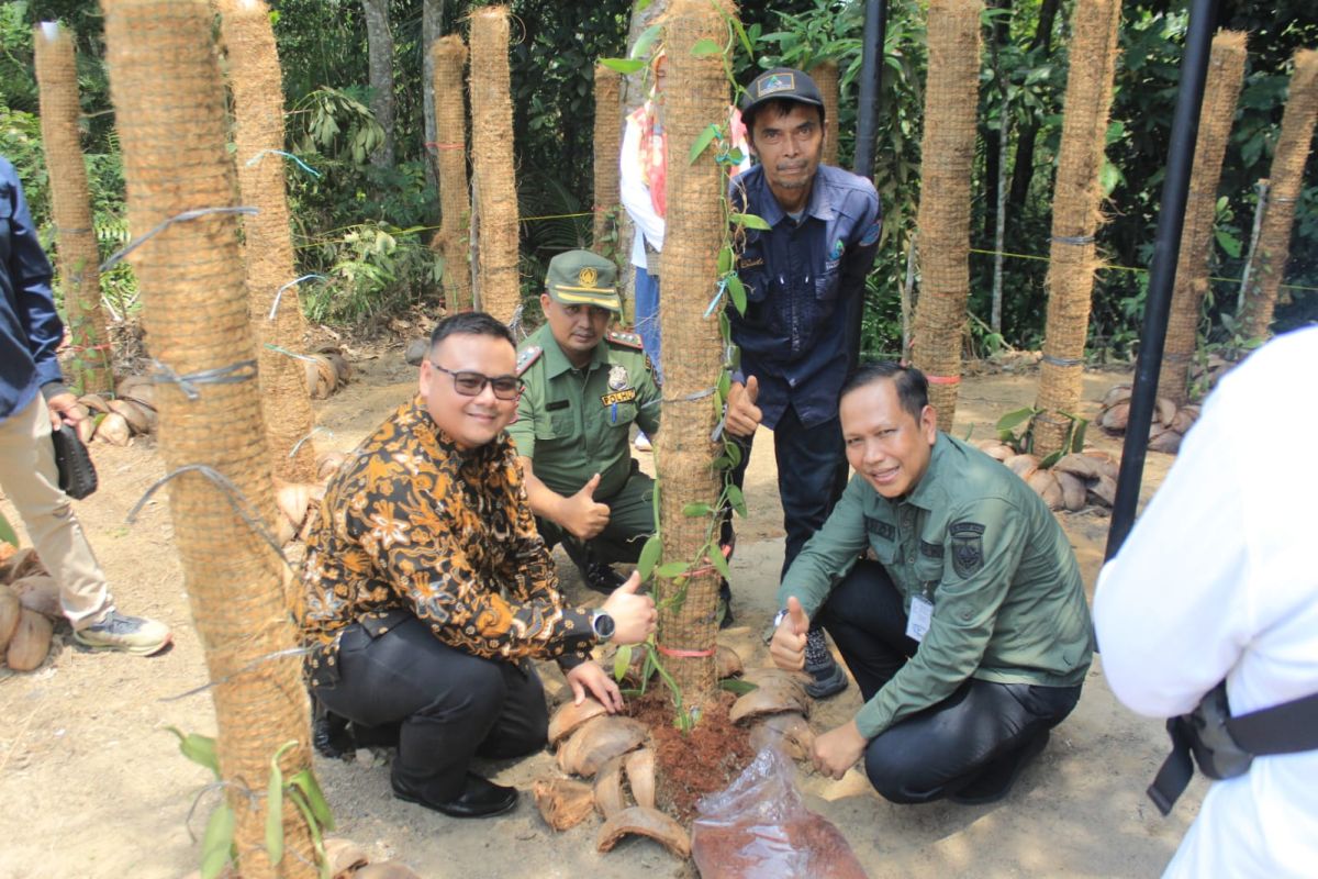 KPH Suligi Batu Gajah dan Mitratel serahkan Demplot Tanaman Vanili di Kampar