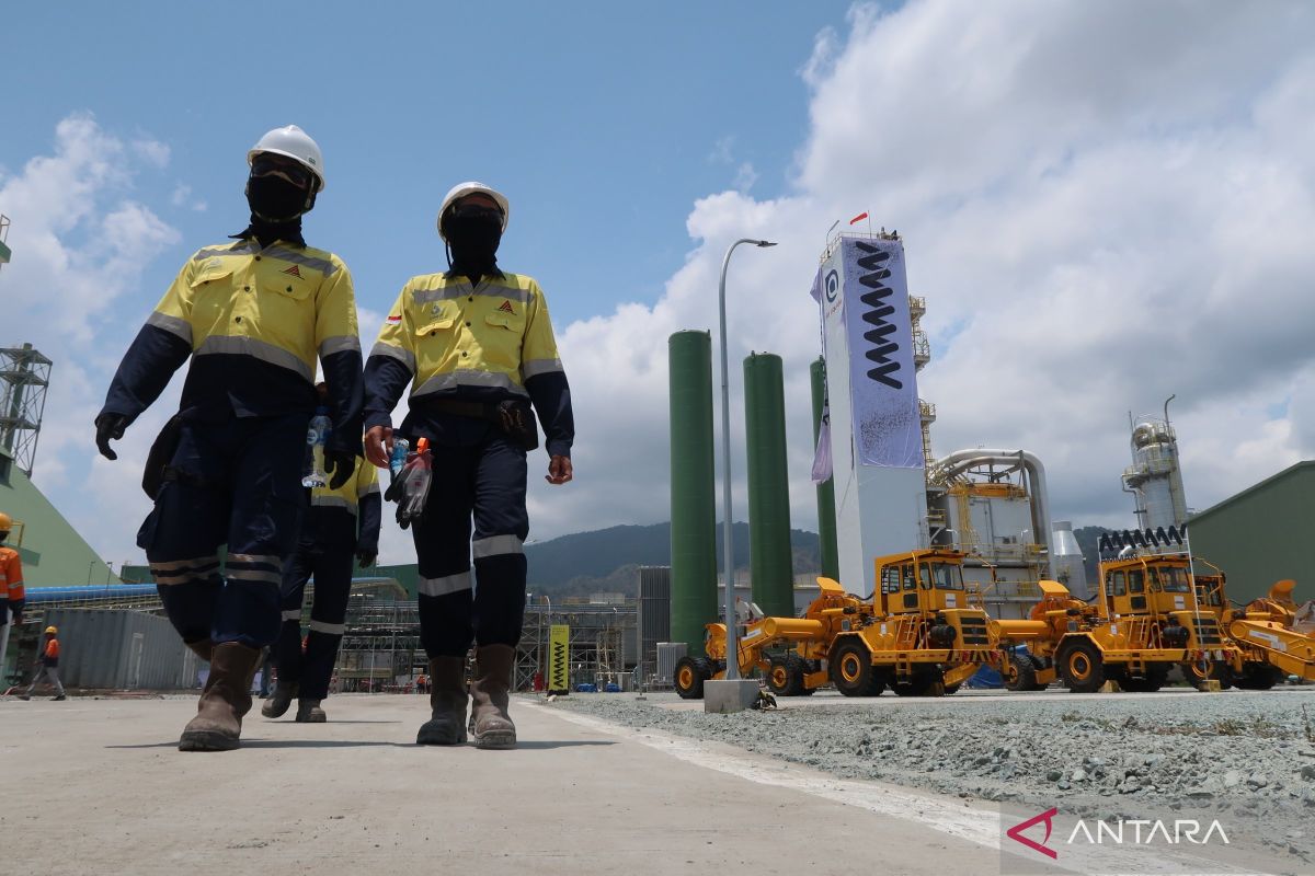 Ekonom: Kehadiran smelter tembaga perkuat industri pengolahan