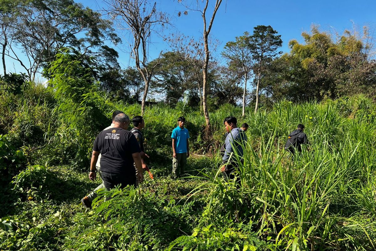 Pegawai Bali Safari diseruduk gajah hingga tewas