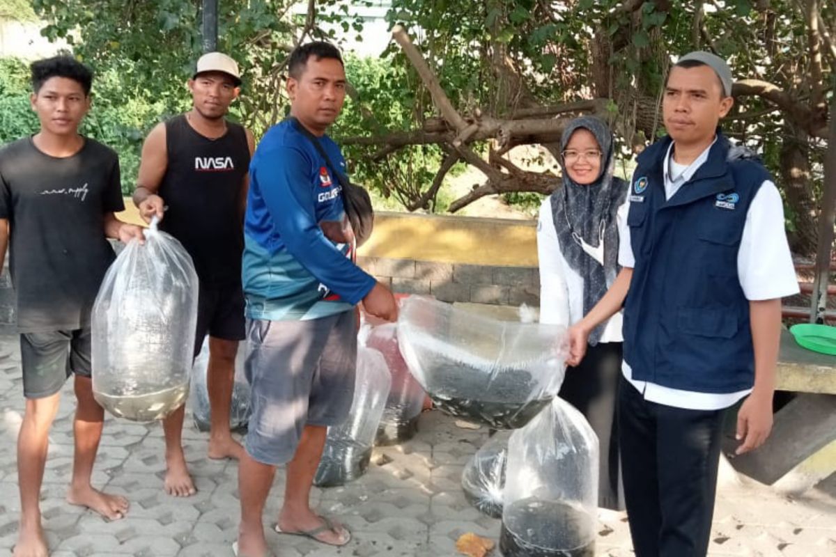 DKP bantu 5.000 bibit ikan nila di Kelurahan Pejeruk Ampenan Mataram