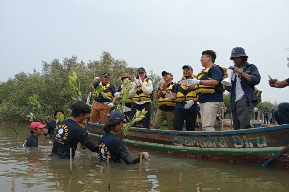 FishLog menanam 5.000 mangrove di Muara Gembong, Bekasi lewat Catalytic Fund