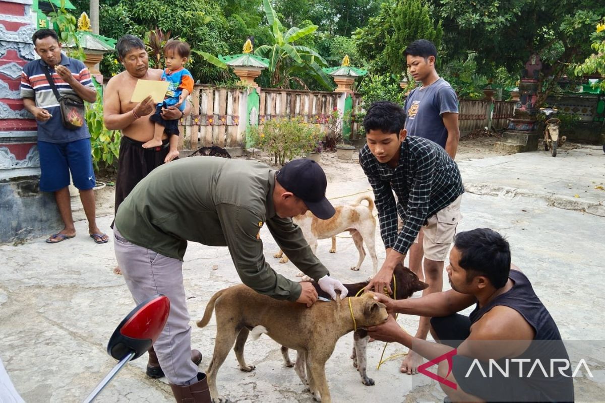 OKU Timur berikan vaksin rabies ratusan anjing peliharaan