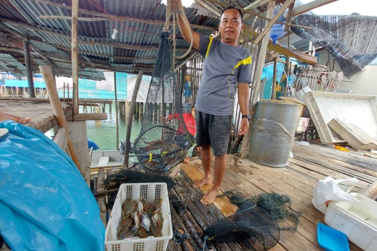 Masyarakat Pulau Kasu-Batam kembangkan usaha olahan Rajungan