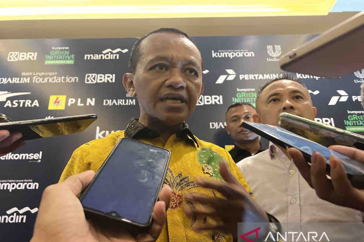 Pemerintah mendorong pemanfaatan EBT untuk smelter