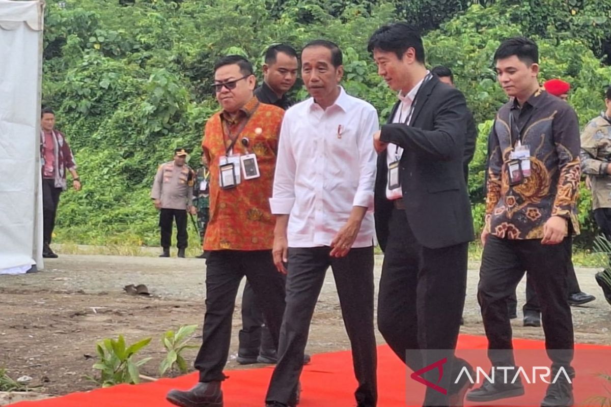 Nusantara rakes in Rp1.15 trillion in foreign investment