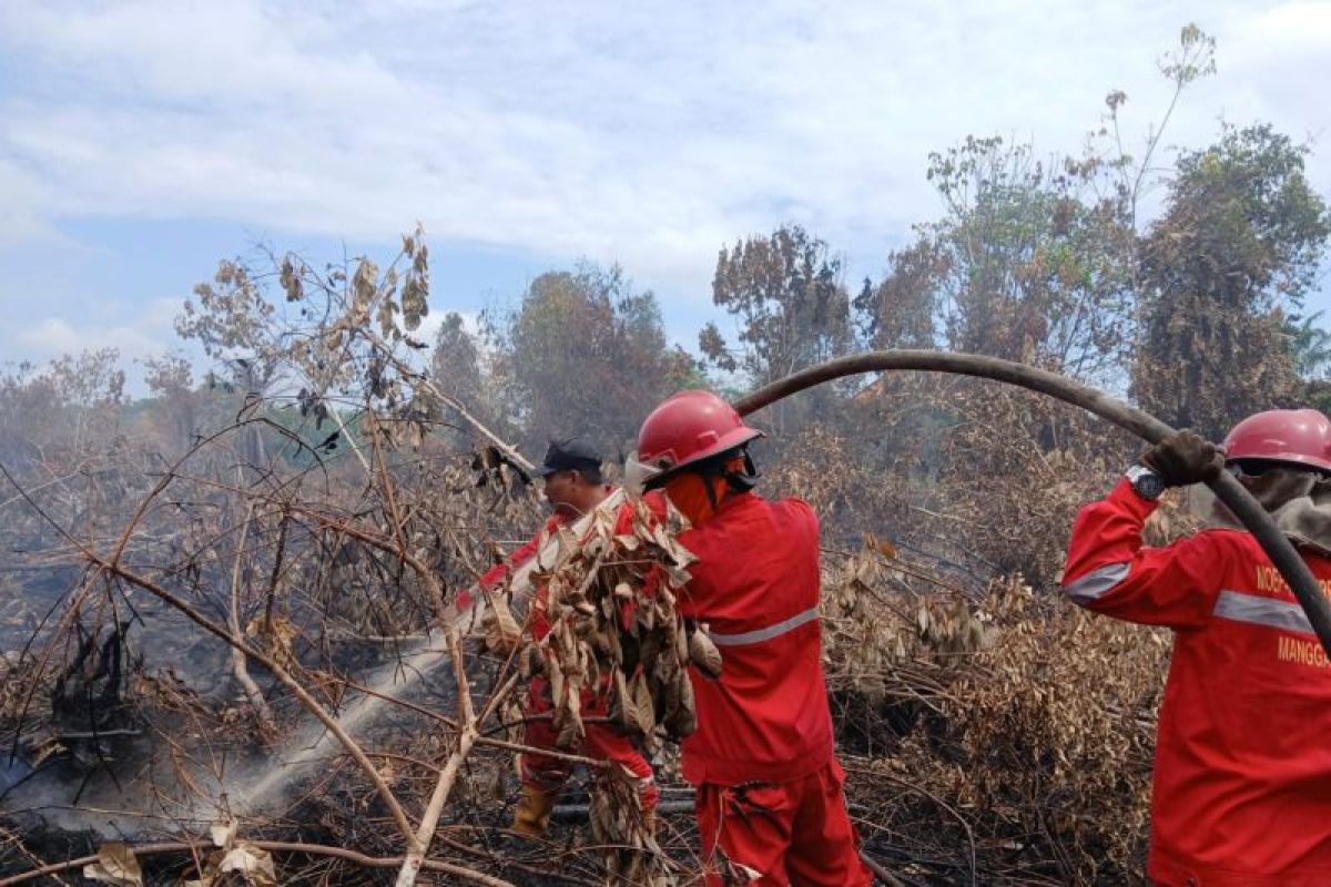 Karhulta di Sungai Rotan masuki hari ke-22