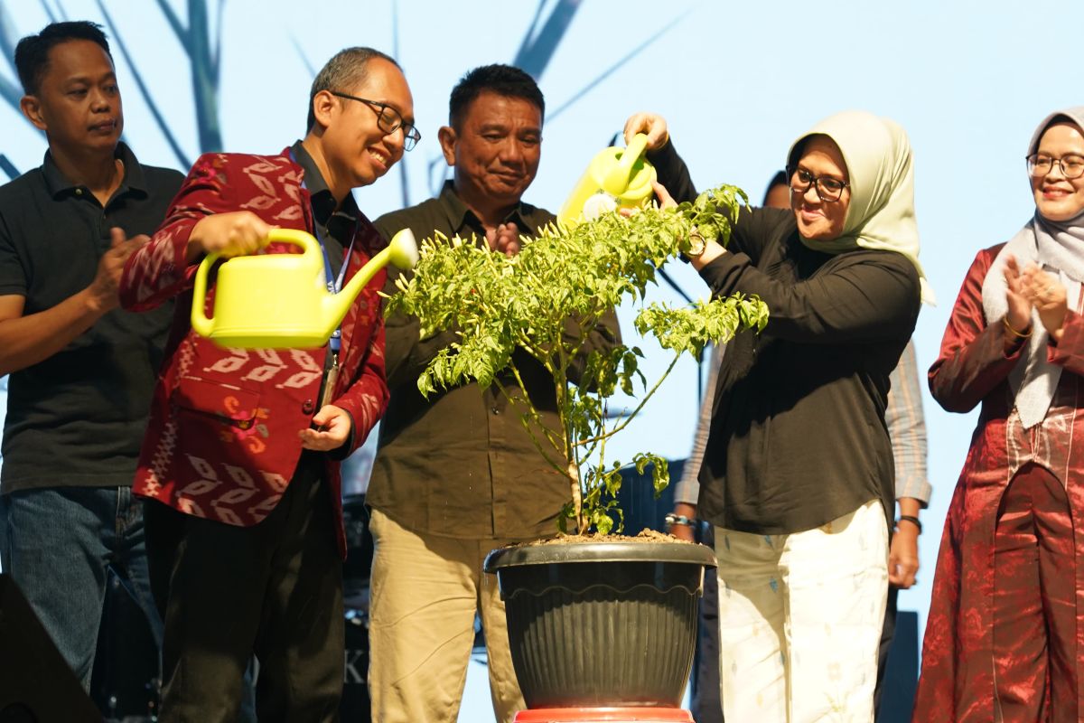 TPID meluncurkan program unggulan Palu Mandiri Tangguh Pangan