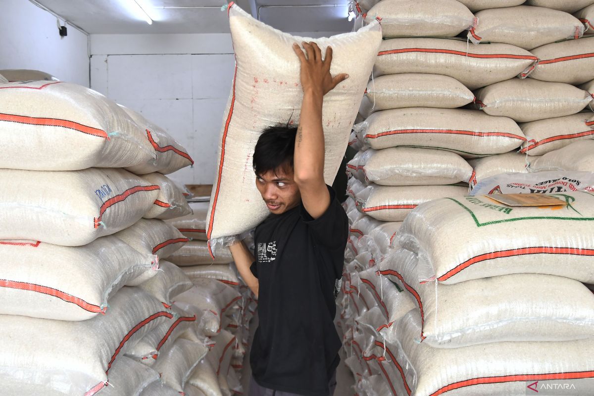 Ekonom nilai Kepala Bapanas kurang mumpuni dalam pengelolaan pangan dalam negeri