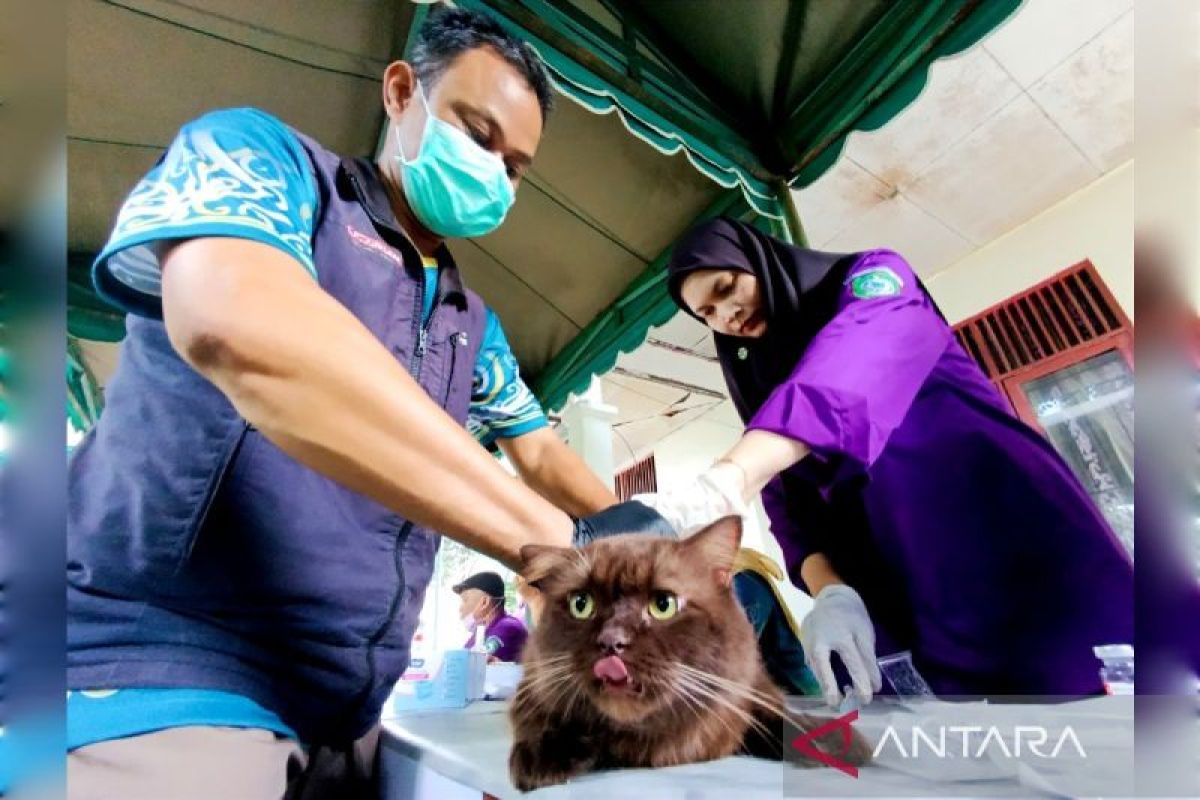 Sambut Hari Rabies Sedunia, DPKP Kotim siapkan 300 vaksin gratis