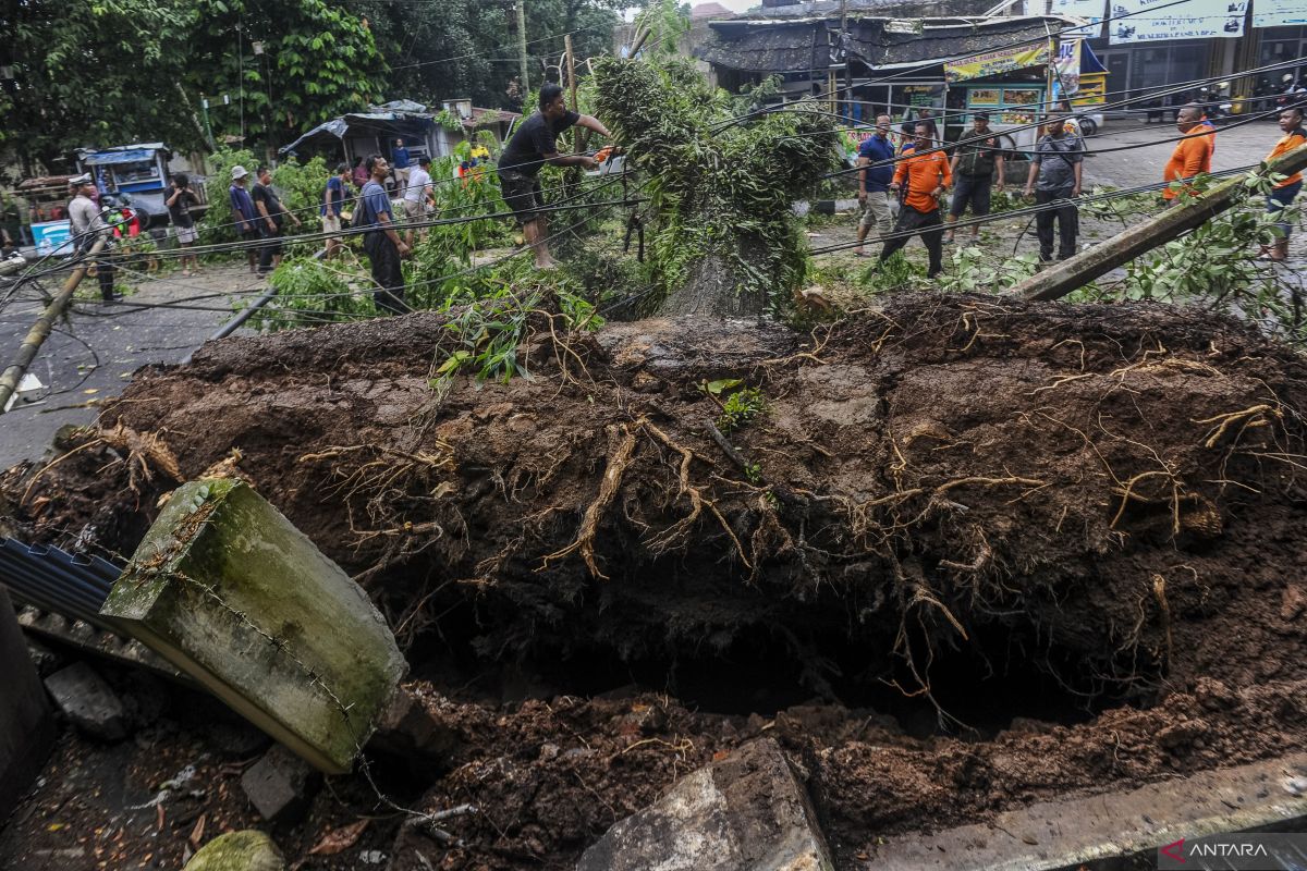 Berikut daftar wilayah di NTT yang berpotensi dilanda angin kencang