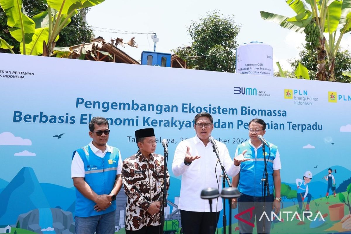 PLN kembangkan ekosistem biomassa berbasis pertanian terpadu