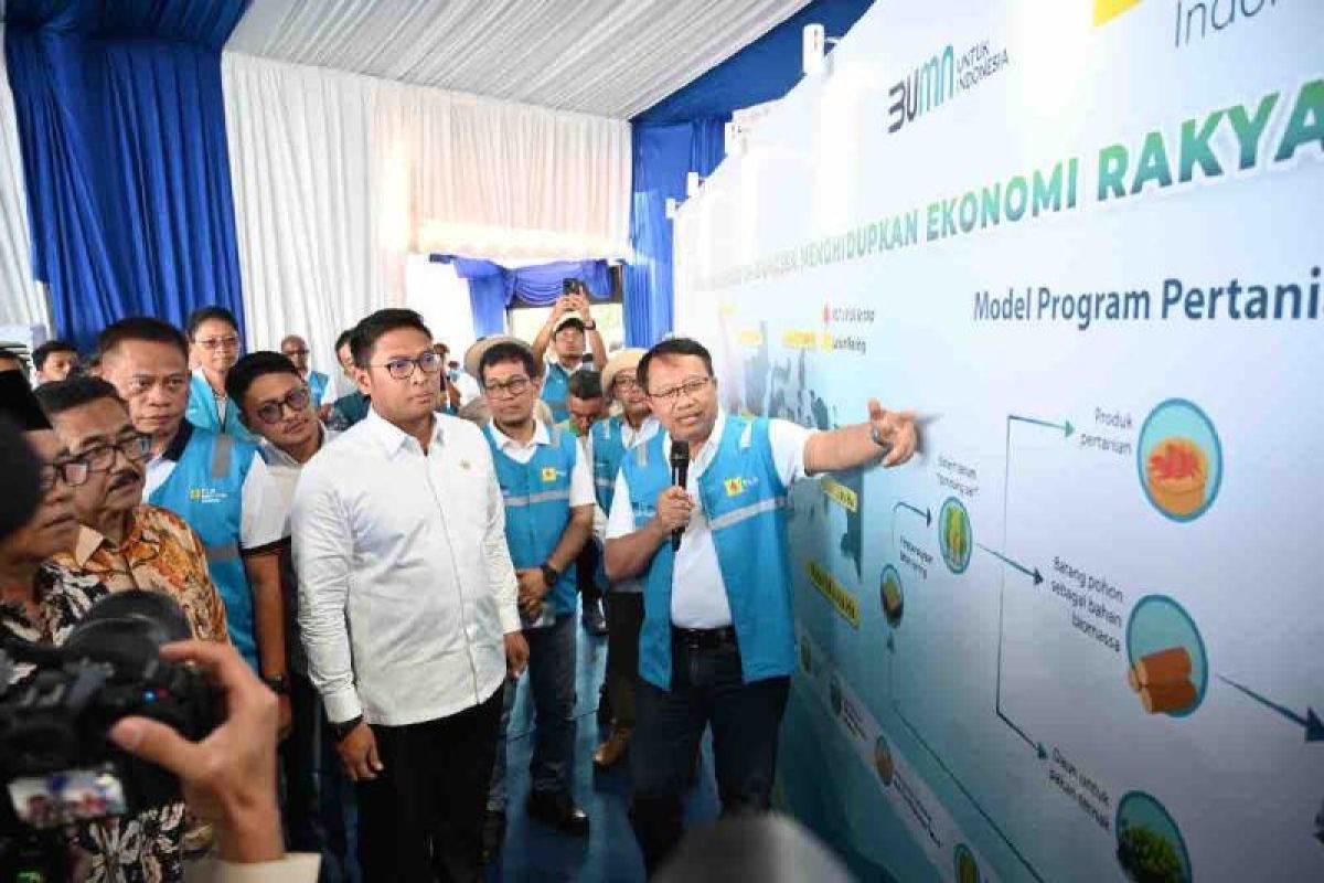 Wamentan menggandeng PLN kembangkan ekosistem biomassa